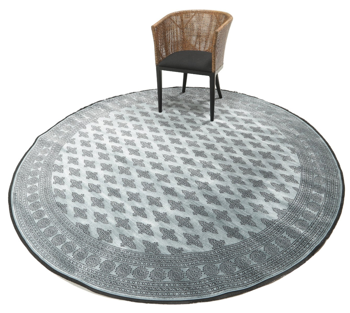 Rosalie - Pakistan Butterfly