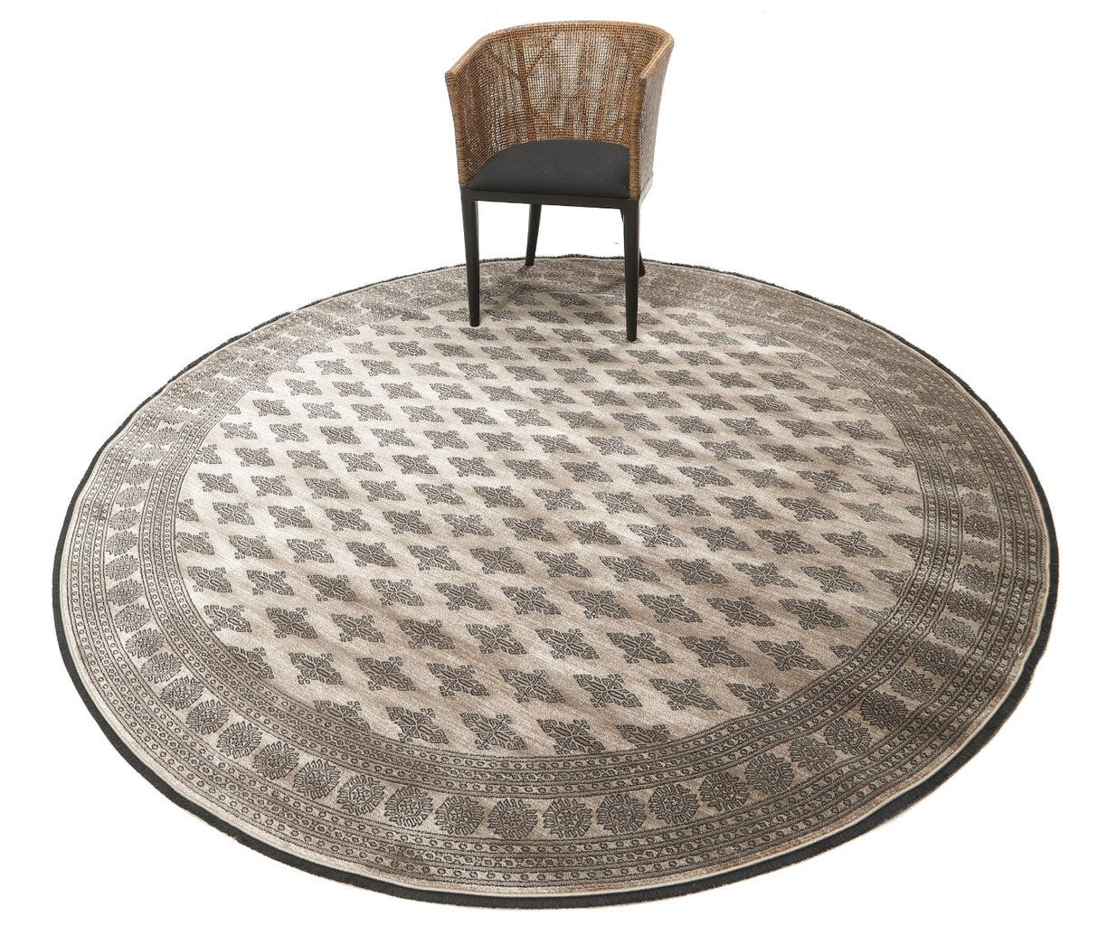 Noura - Pakistan Butterfly