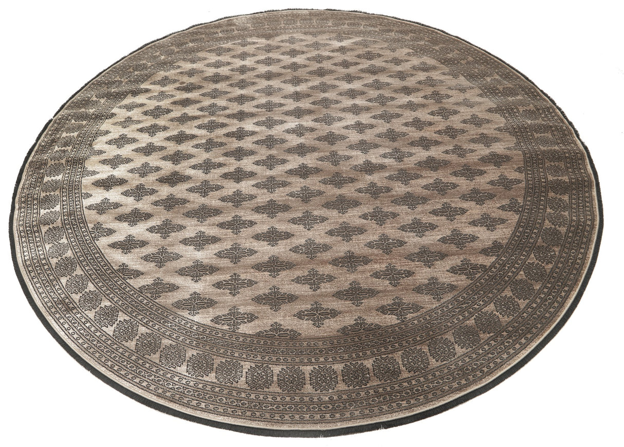 Noura - Pakistan Butterfly