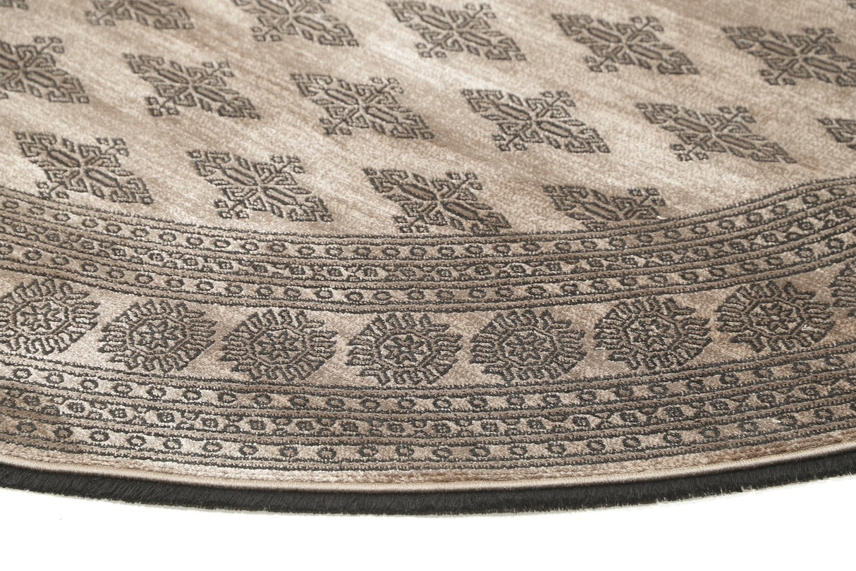 Noura - Pakistan Butterfly