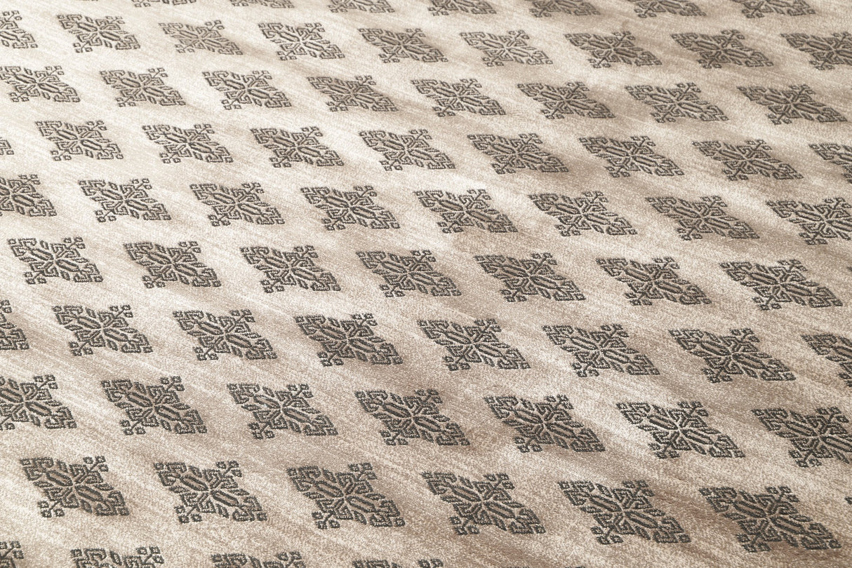 Noura - Pakistan Butterfly