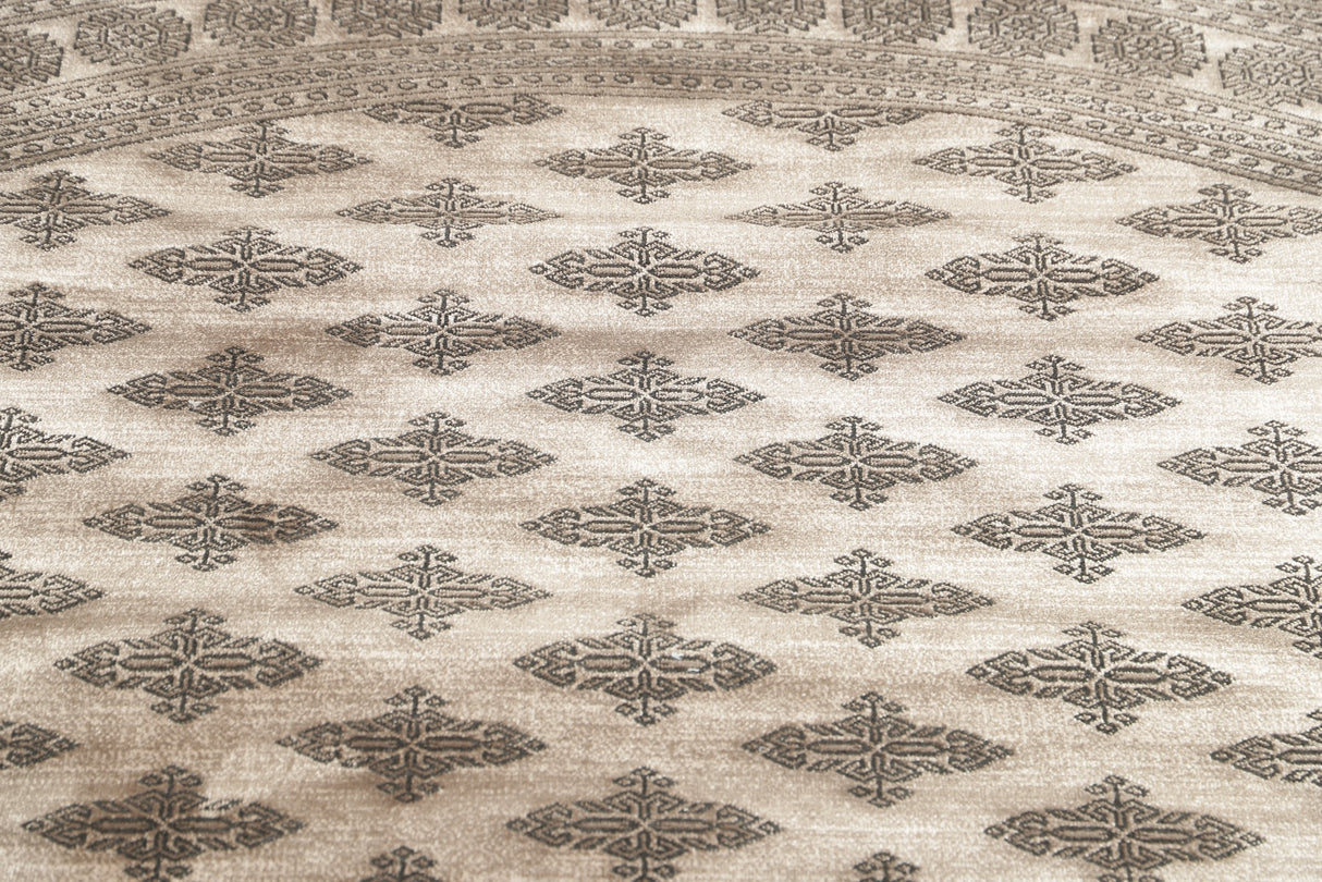 Noura - Pakistan Butterfly