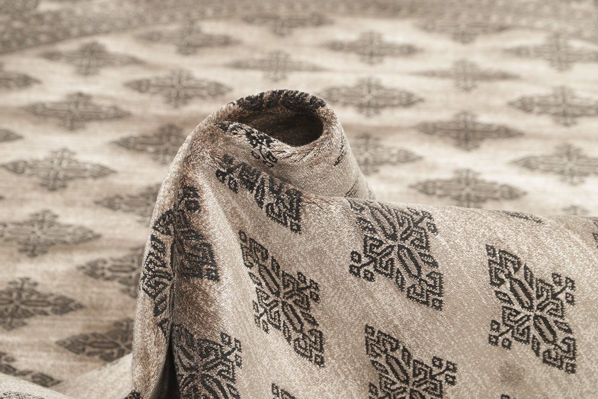 Noura - Pakistan Butterfly