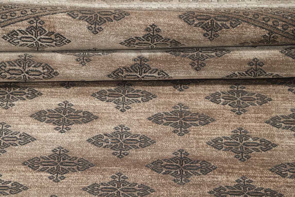 Noura - Pakistan Butterfly