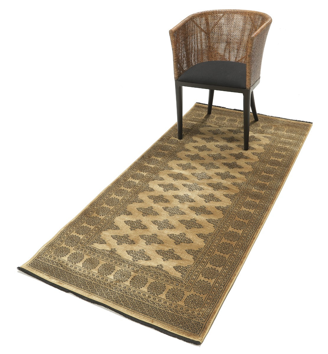 Noura - Pakistan Butterfly