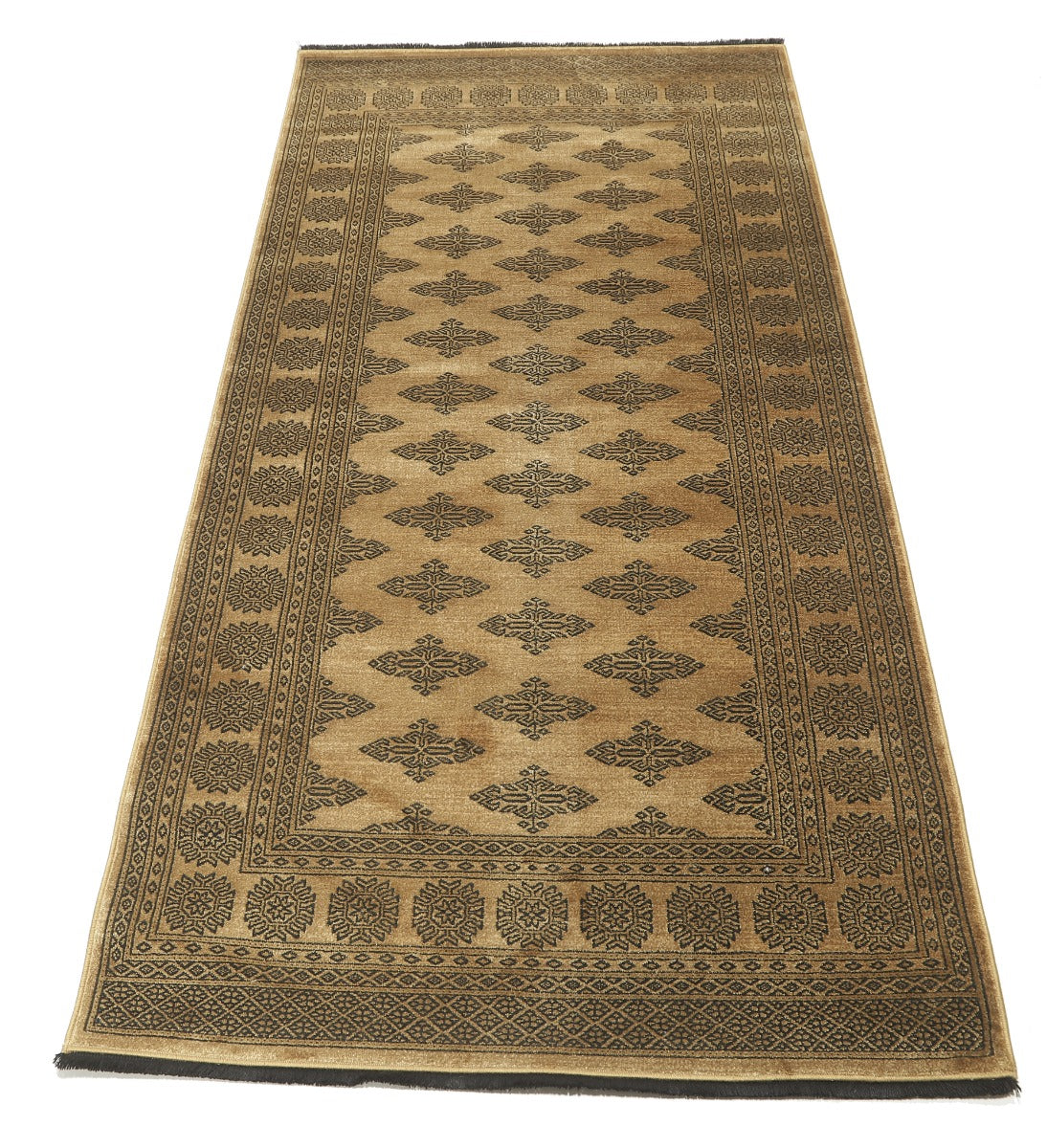 Noura - Pakistan Butterfly