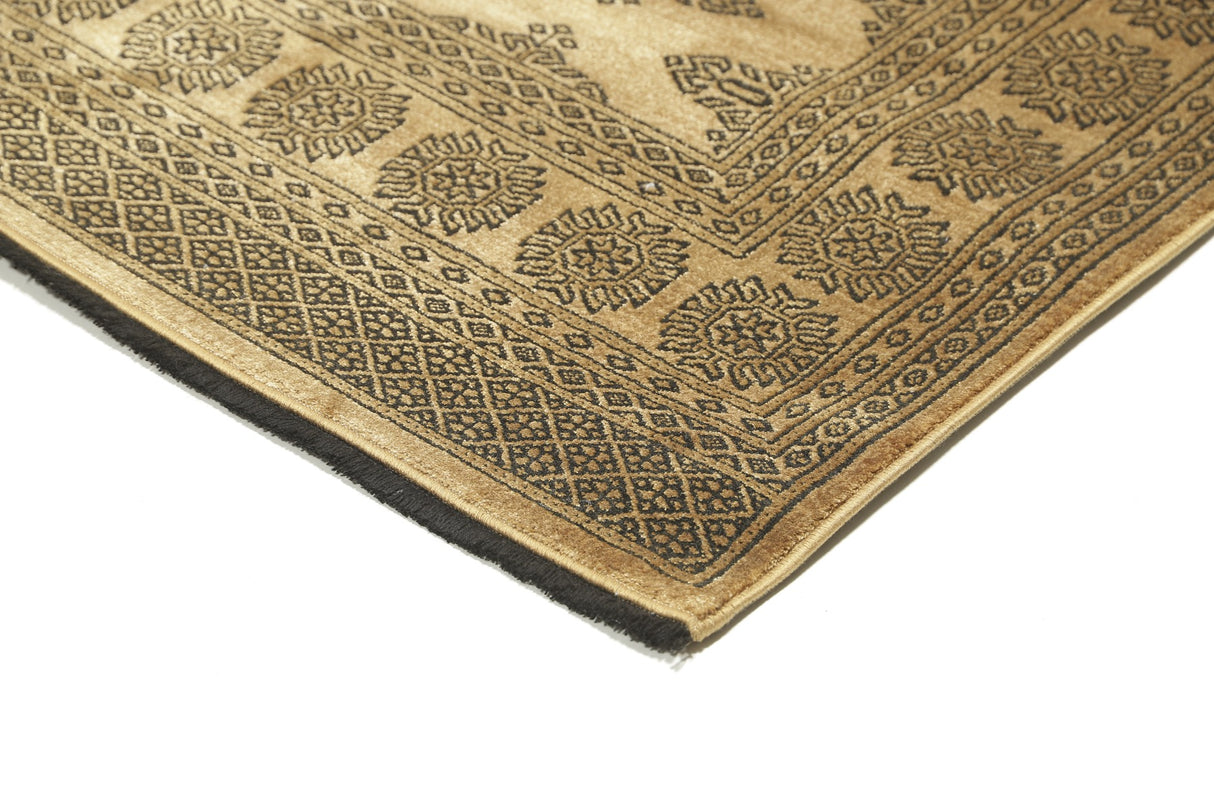 Noura - Pakistan Butterfly