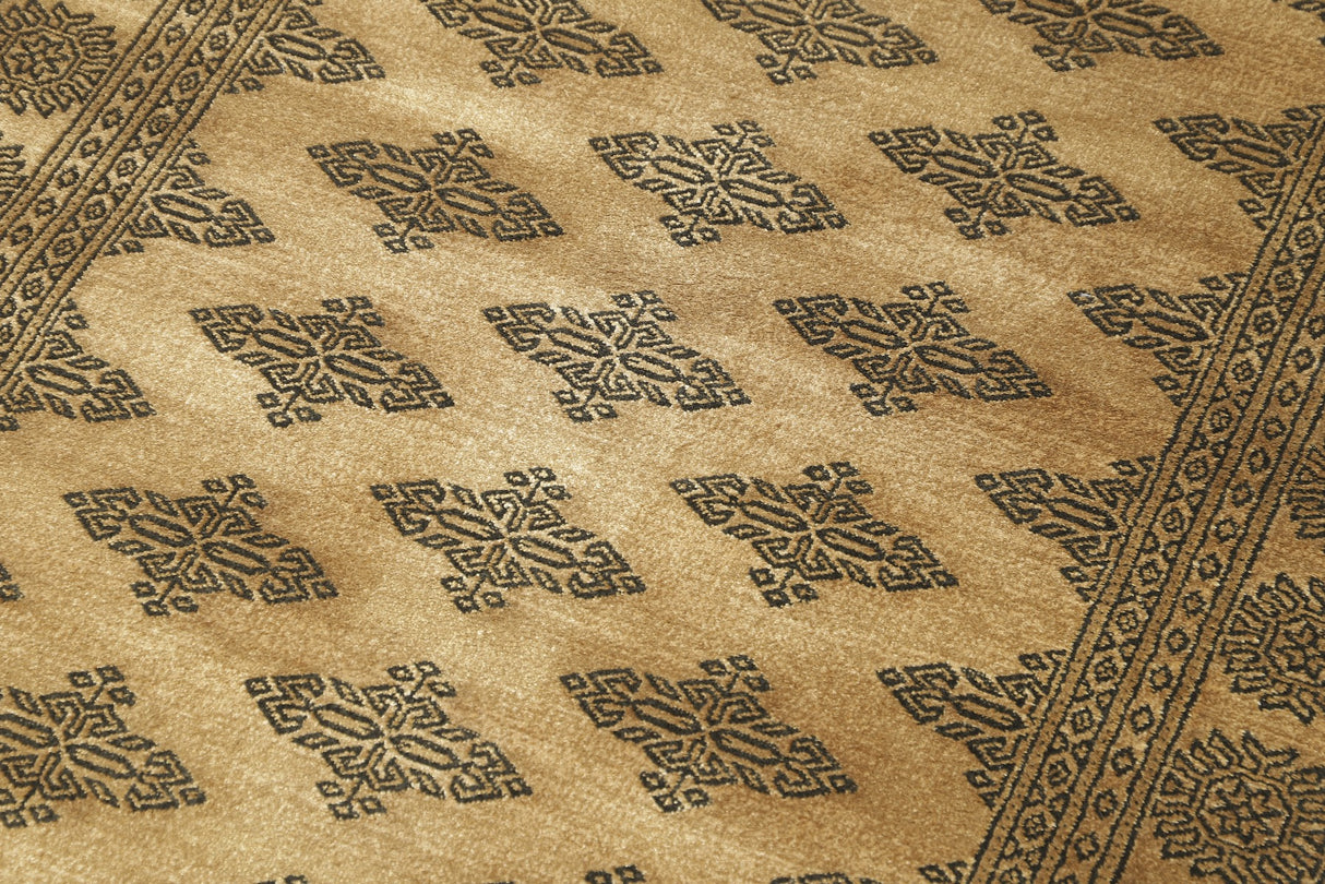 Noura - Pakistan Butterfly