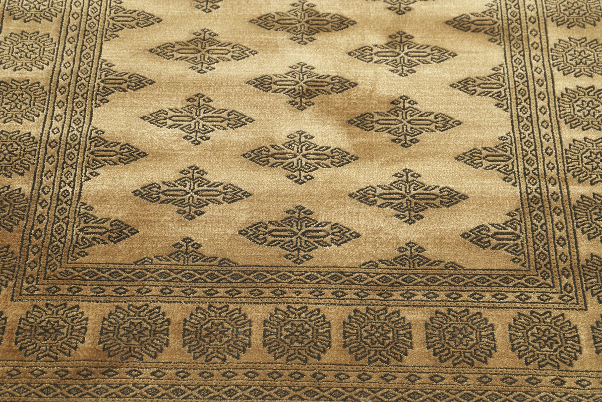 Noura - Pakistan Butterfly