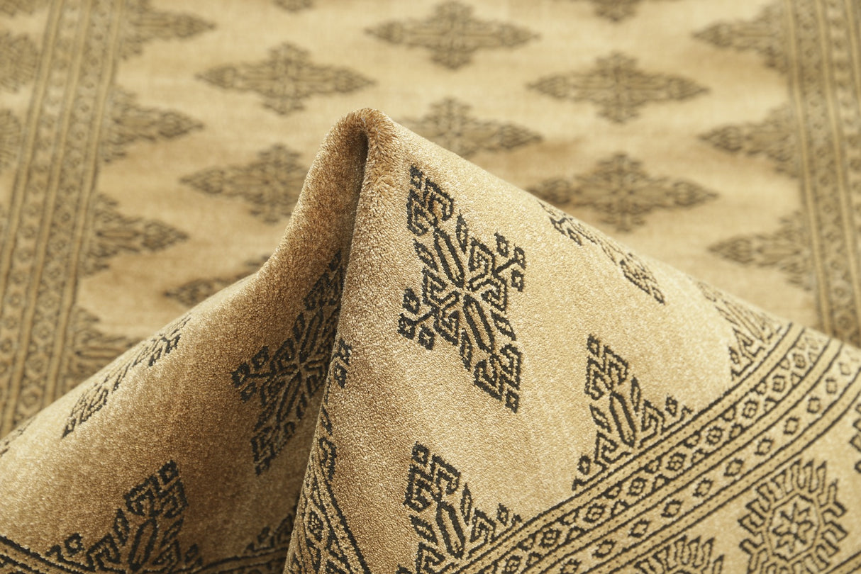 Noura - Pakistan Butterfly