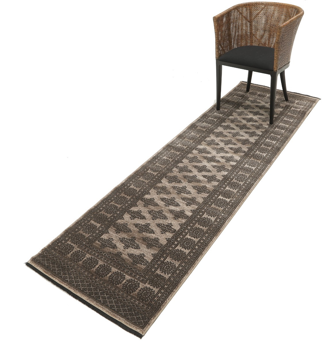 Noura - Pakistan Butterfly