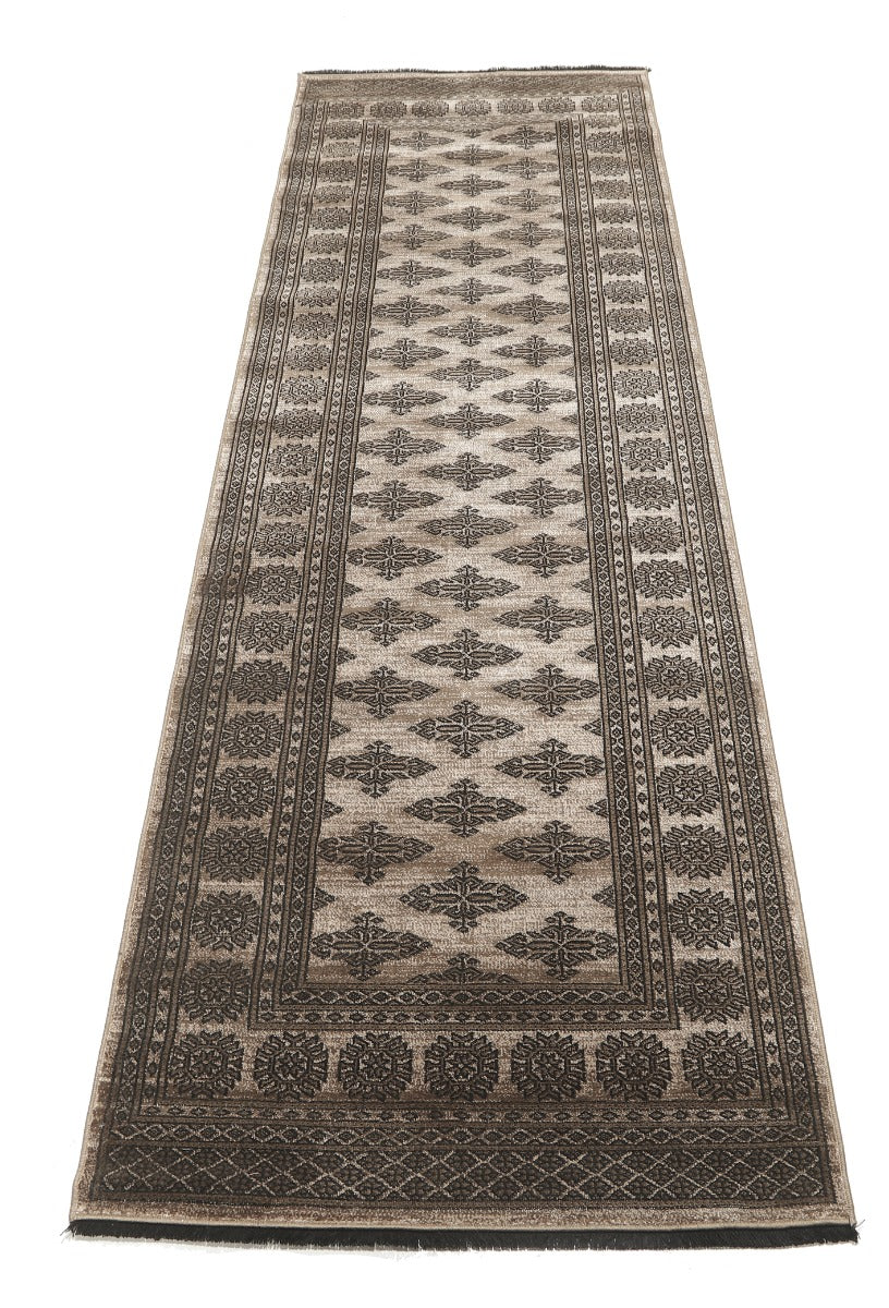 Noura - Pakistan Butterfly