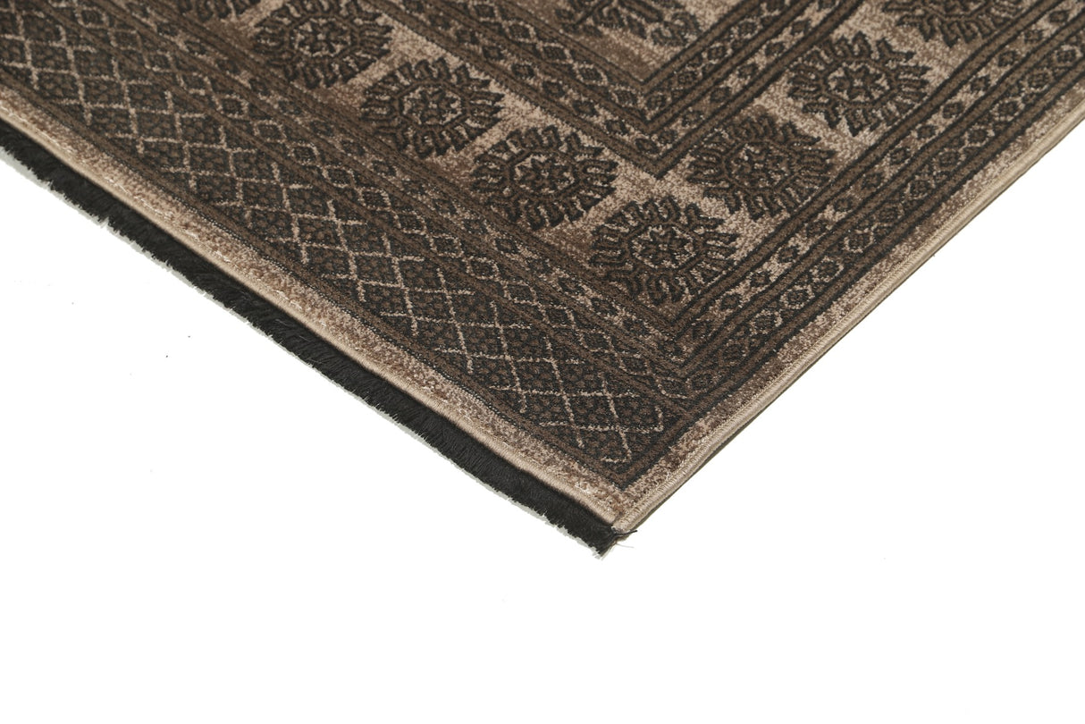 Noura - Pakistan Butterfly