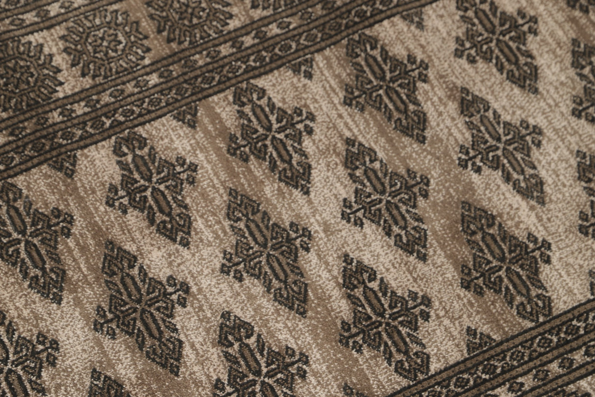 Noura - Pakistan Butterfly