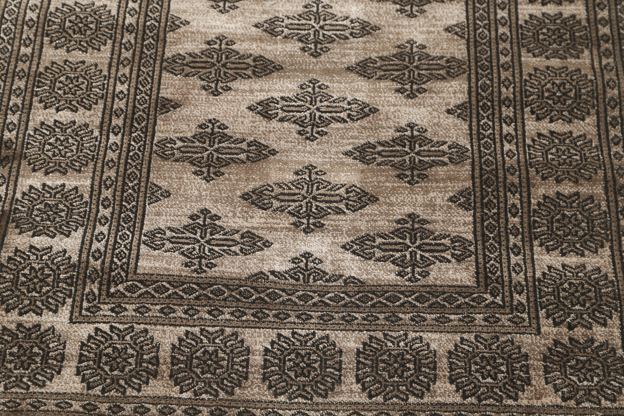 Noura - Pakistan Butterfly