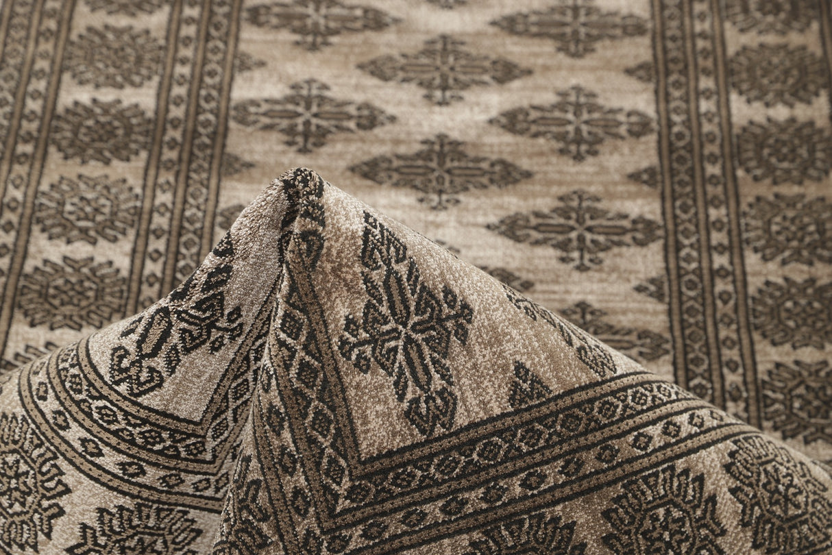 Noura - Pakistan Butterfly