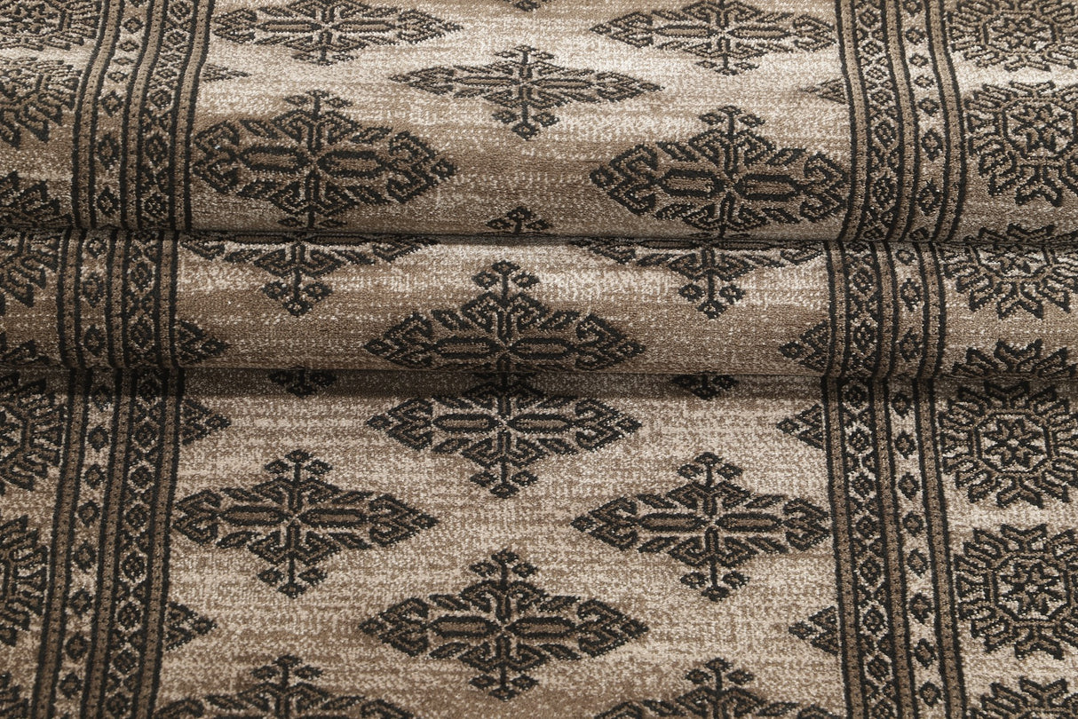 Noura - Pakistan Butterfly