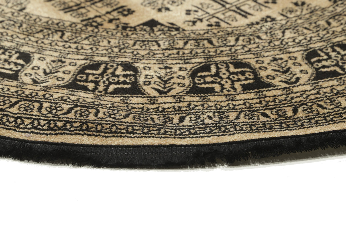 Alina - Afghan Khal Mohammadi