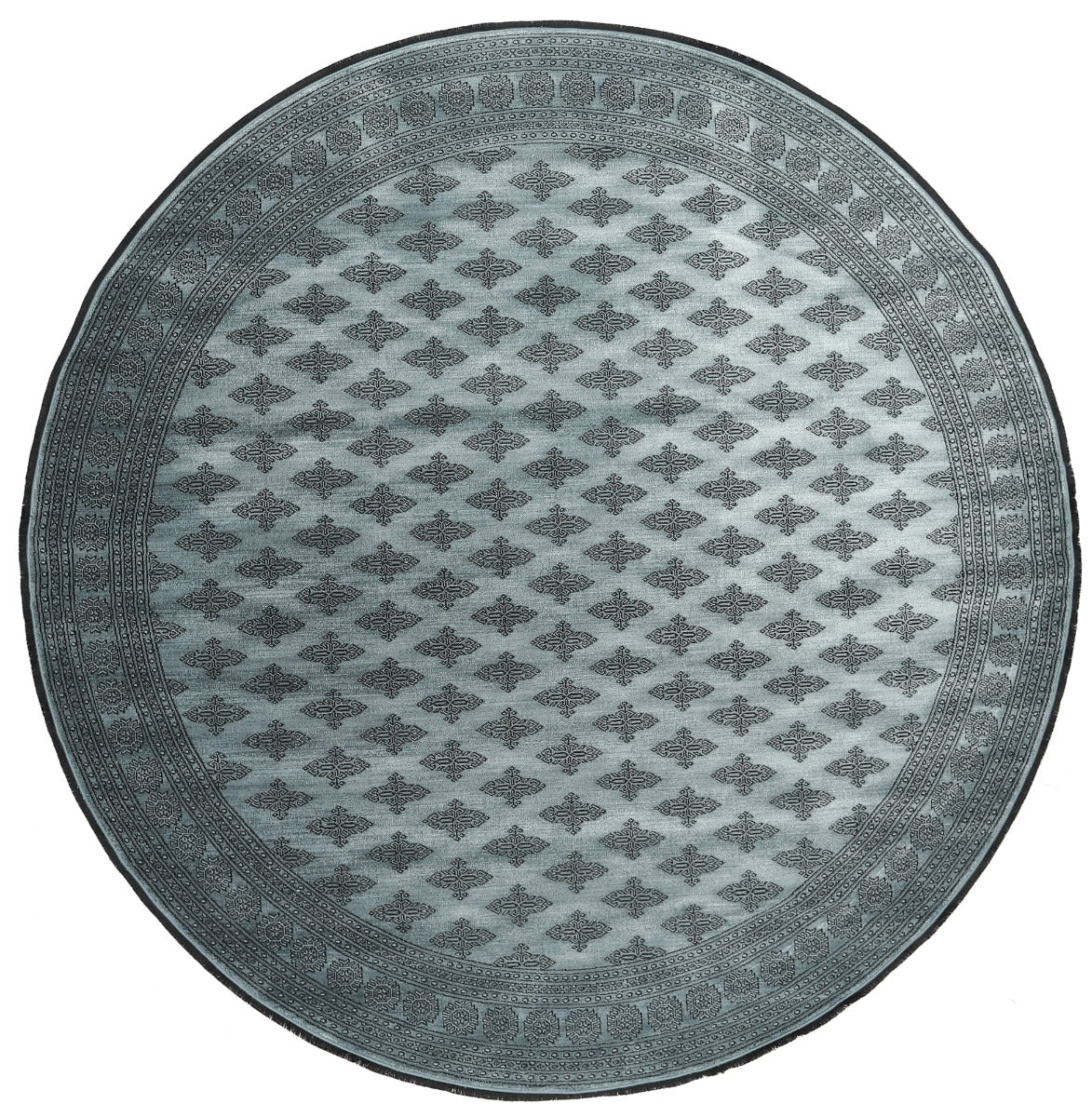 Rosalie - Pakistan Butterfly