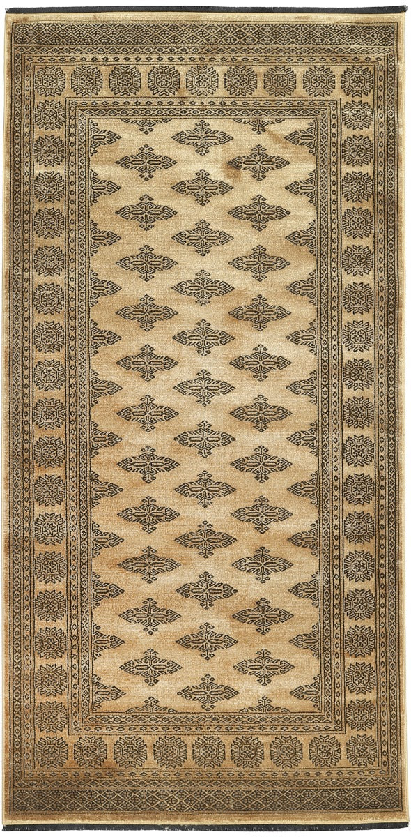 Noura - Pakistan Butterfly