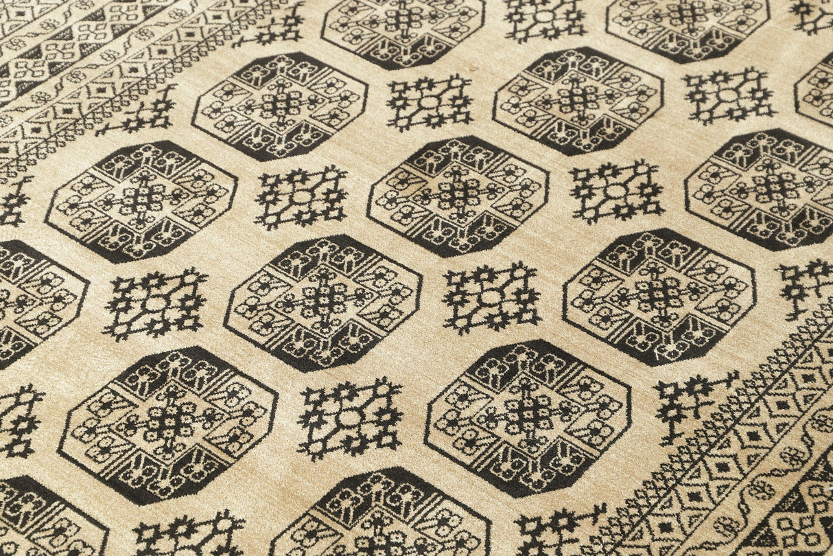 Delia - Afghan Aktscha