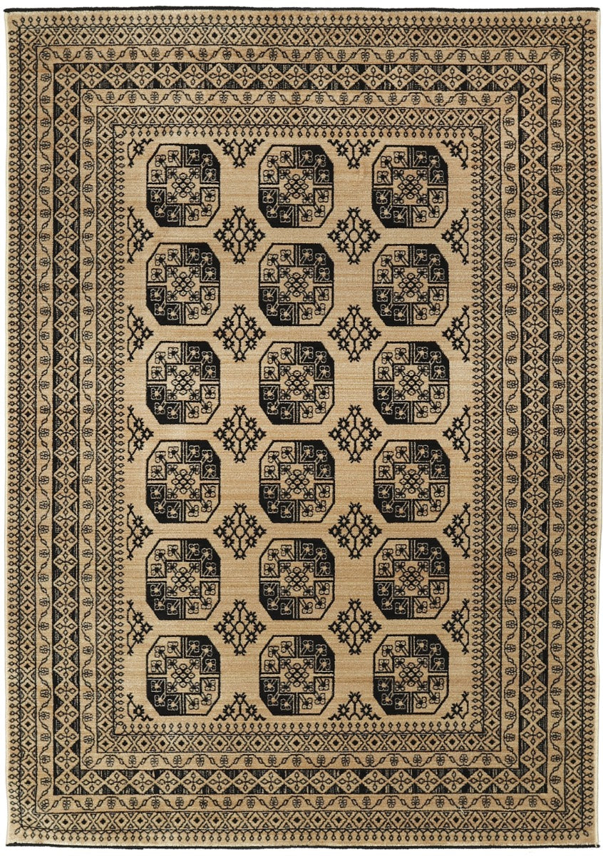 Afghan Aktscha